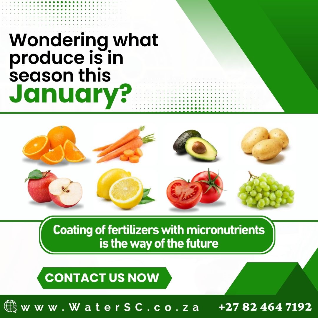 Wondering What Produce is in season this January